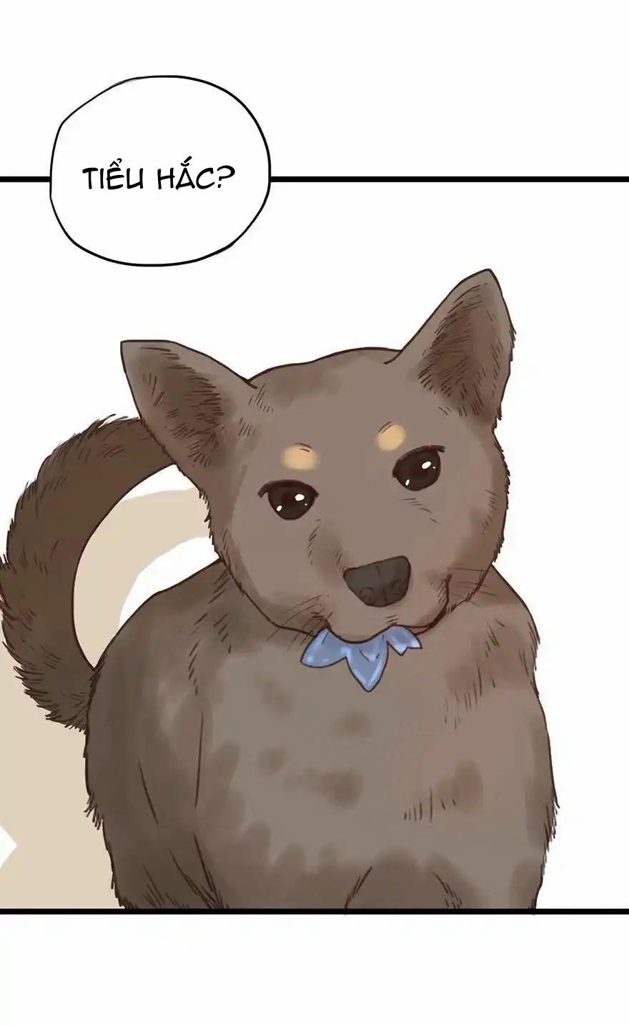 Đừng Chạm Vào Tôi 67 trang 11