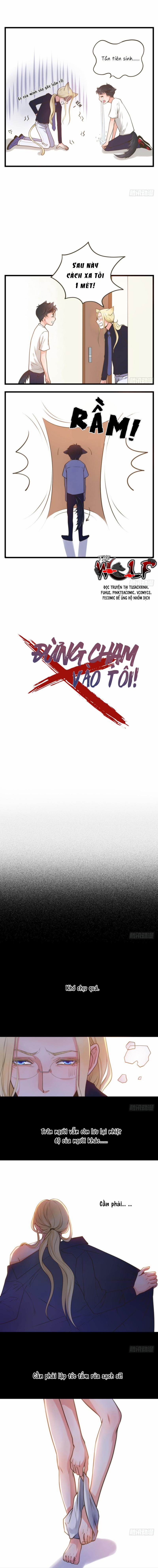 Đừng Chạm Vào Tôi 7 trang 0