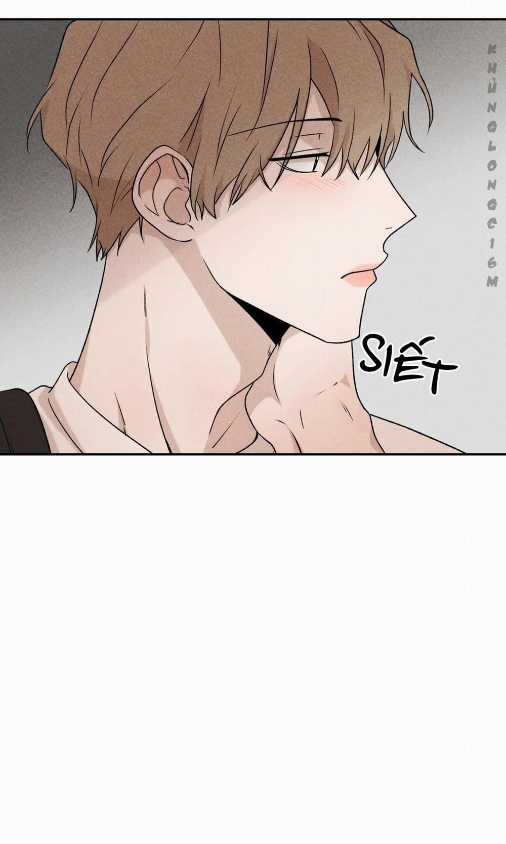 Đừng Cho Em Hy Vọng 11 trang 17