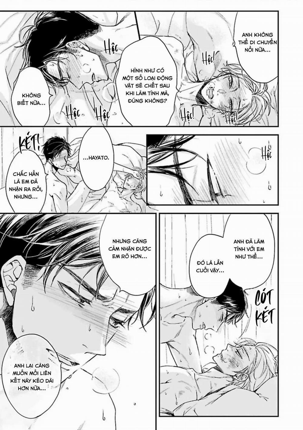 Đừng Có Nói Chuyện Yêu Đương Với Trai Tân 1 và Mặc Dù Không Còn Là Trai Tân Nhưng Tôi Vẫn muốn Tìm Kiếm Tình Yêu! 2 10 Vol 2 0 6 trang 38