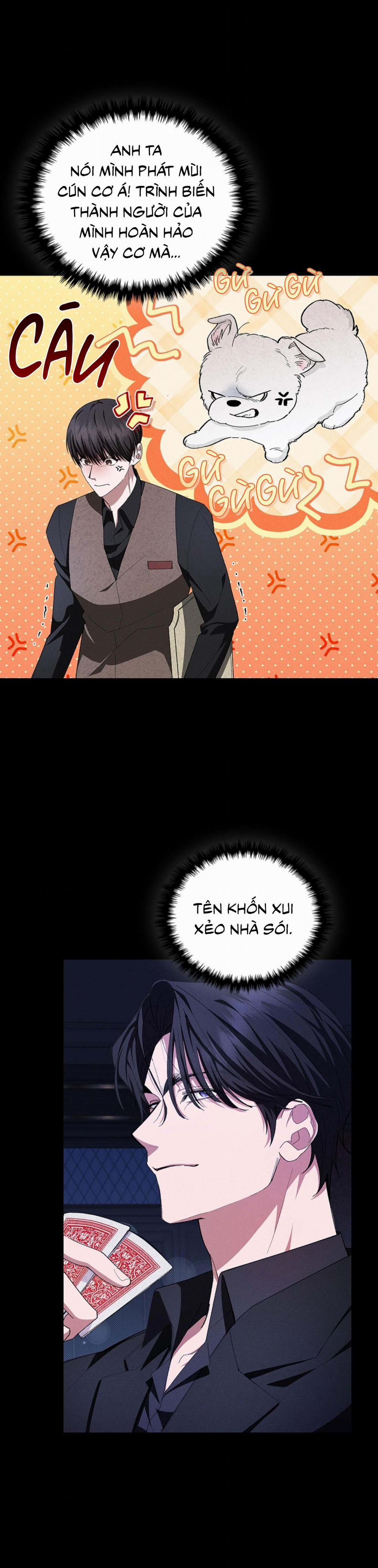 ĐỪNG ĐỘNG VÀO CÚN CON! 1 trang 19