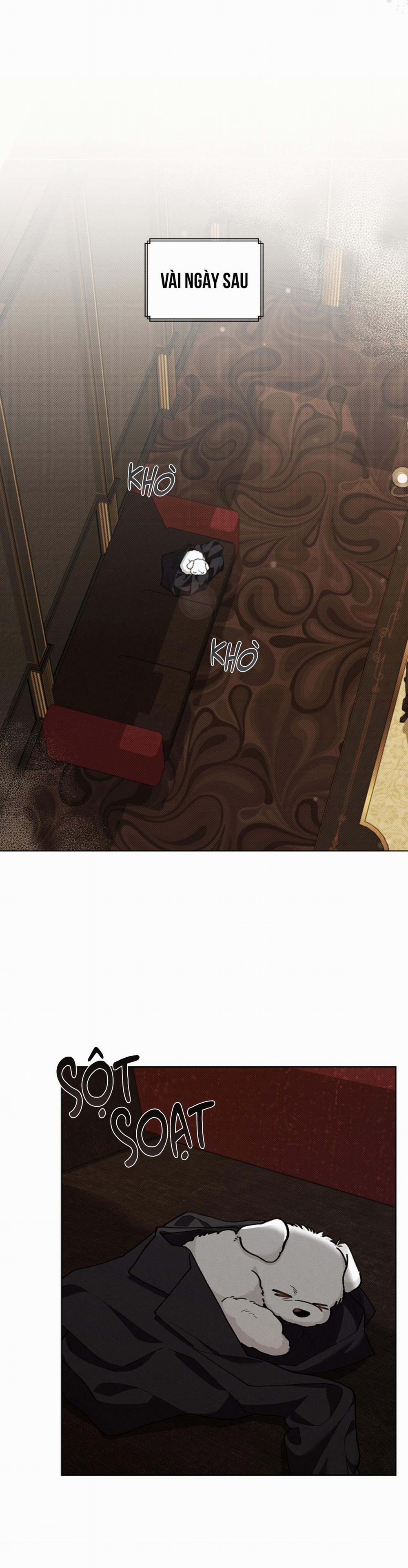 ĐỪNG ĐỘNG VÀO CÚN CON! 1 trang 37