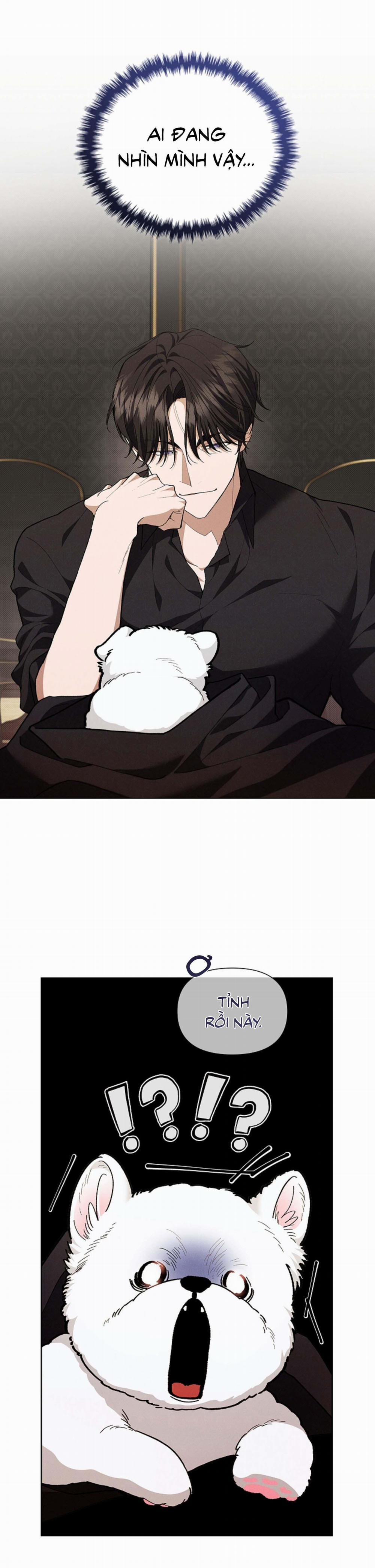 ĐỪNG ĐỘNG VÀO CÚN CON! 1 trang 39