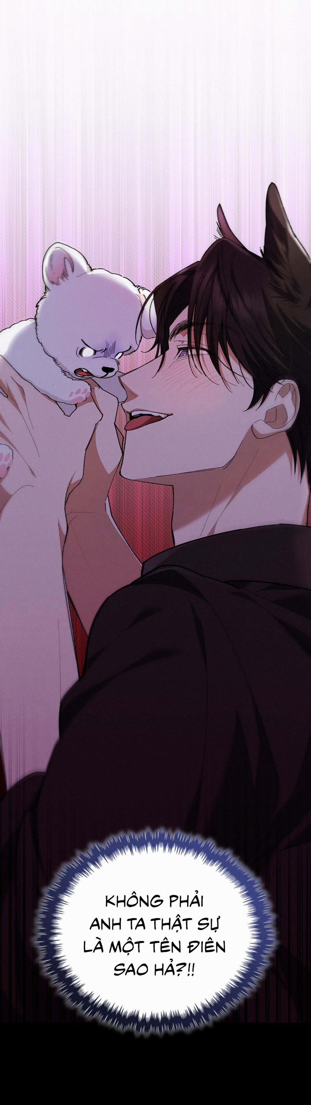 ĐỪNG ĐỘNG VÀO CÚN CON! 1 trang 43