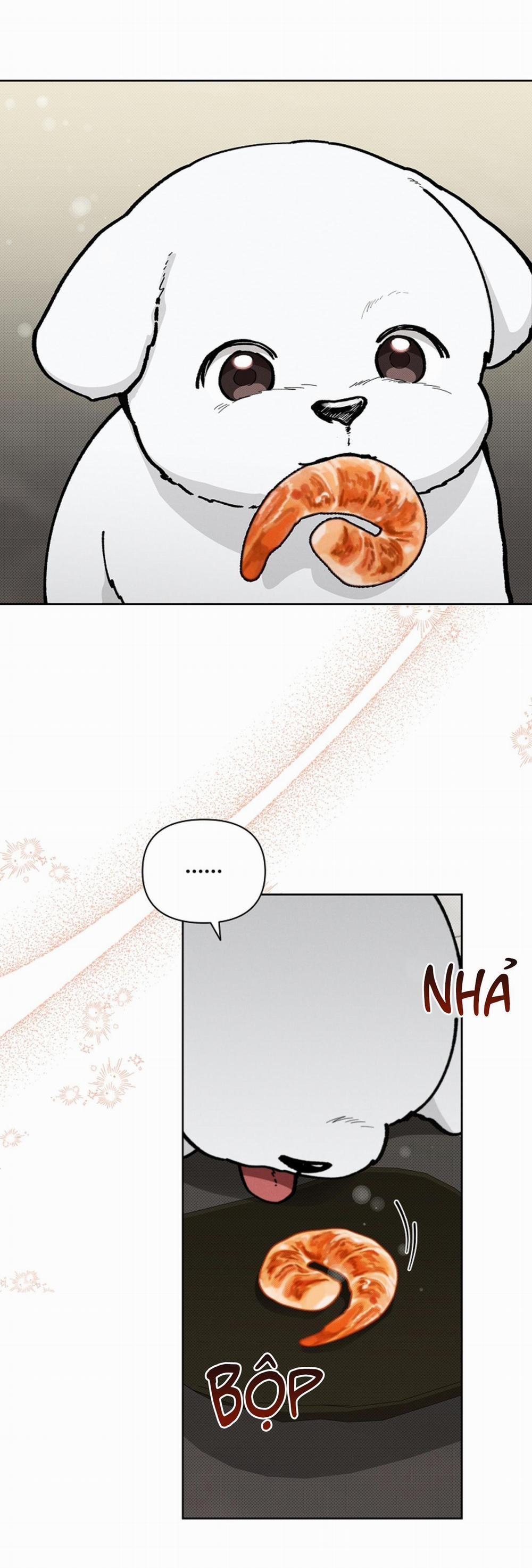 ĐỪNG ĐỘNG VÀO CÚN CON! 10 trang 37