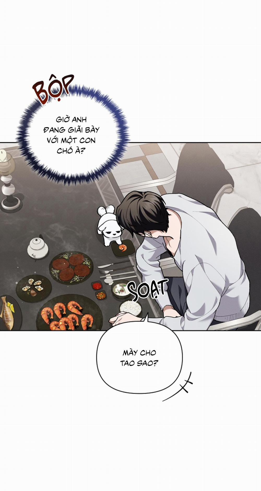 ĐỪNG ĐỘNG VÀO CÚN CON! 10 trang 38