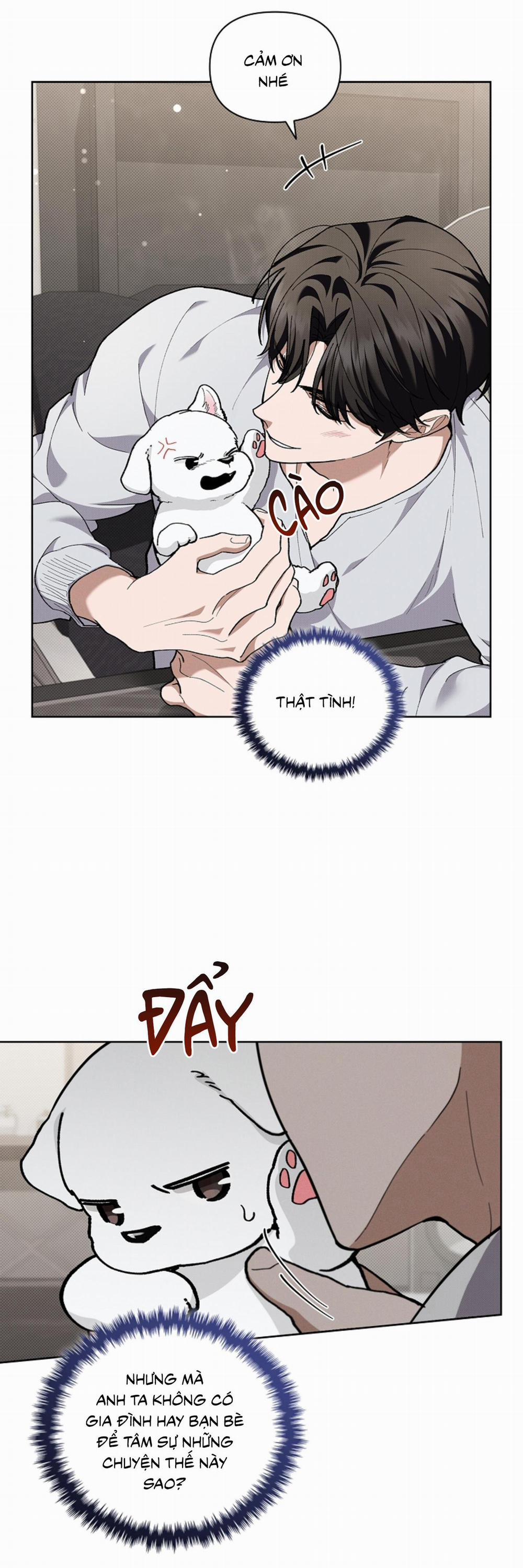 ĐỪNG ĐỘNG VÀO CÚN CON! 10 trang 39