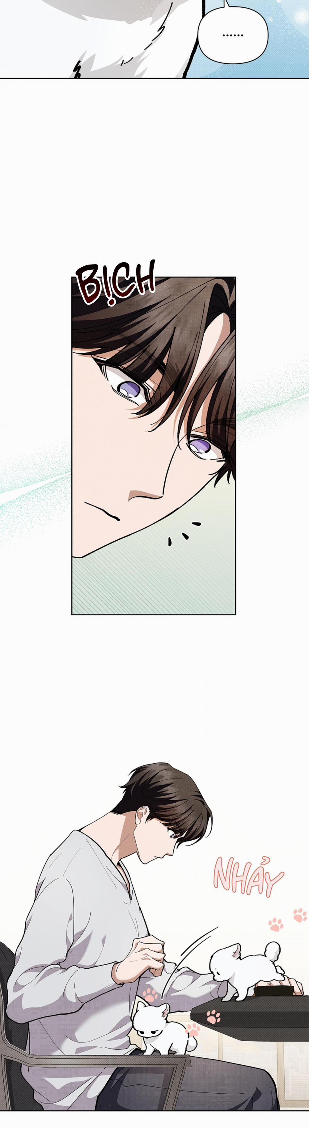 ĐỪNG ĐỘNG VÀO CÚN CON! 10 trang 45