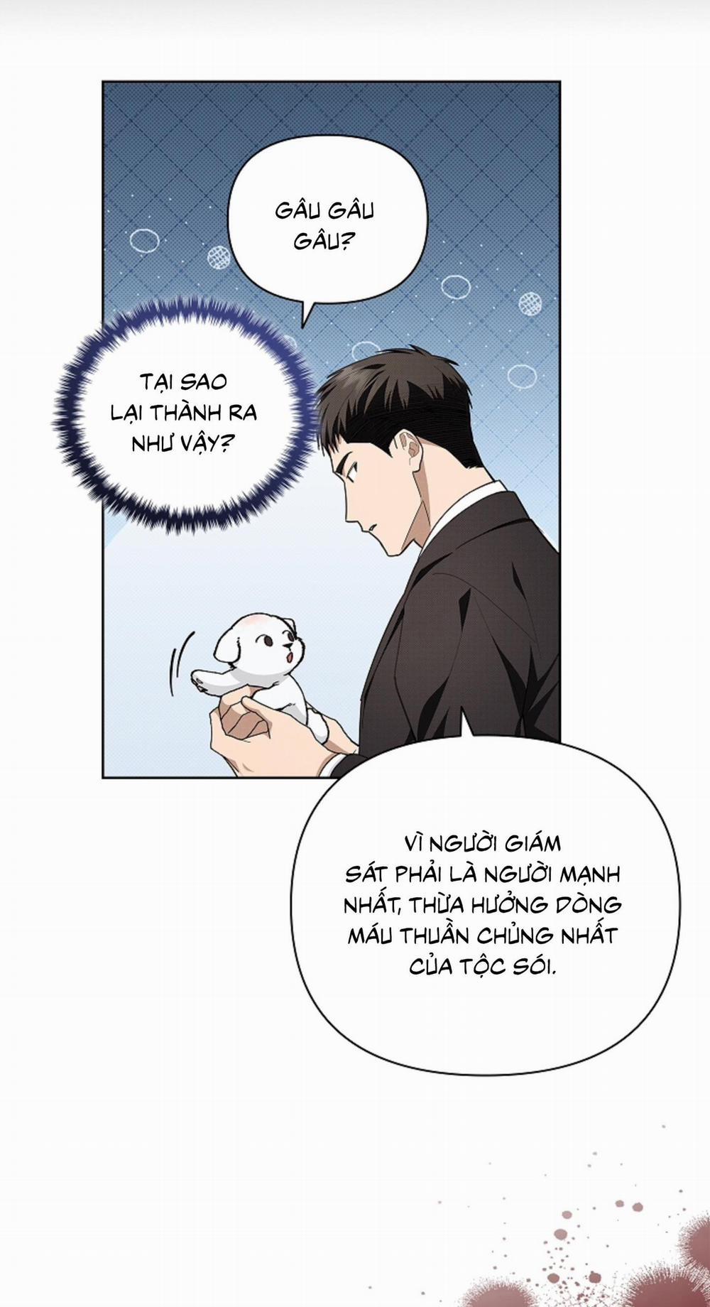 ĐỪNG ĐỘNG VÀO CÚN CON! 11 trang 13