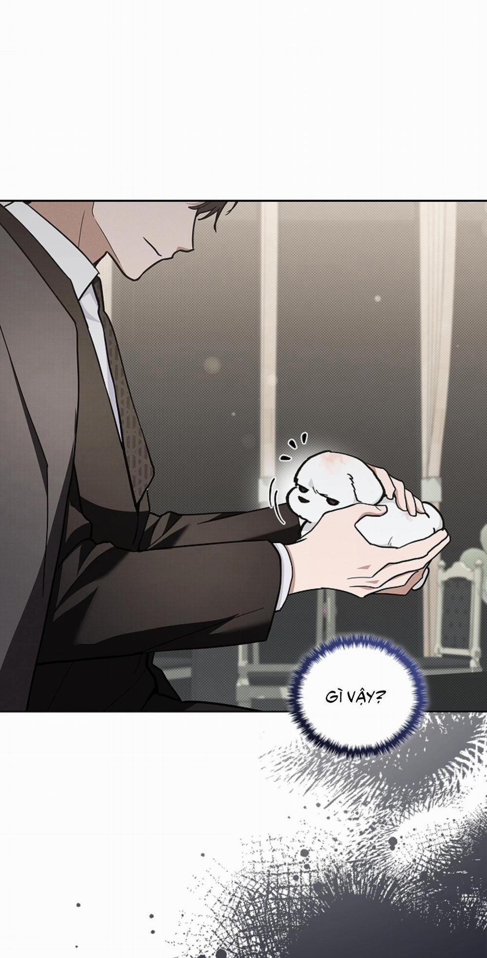 ĐỪNG ĐỘNG VÀO CÚN CON! 11 trang 32