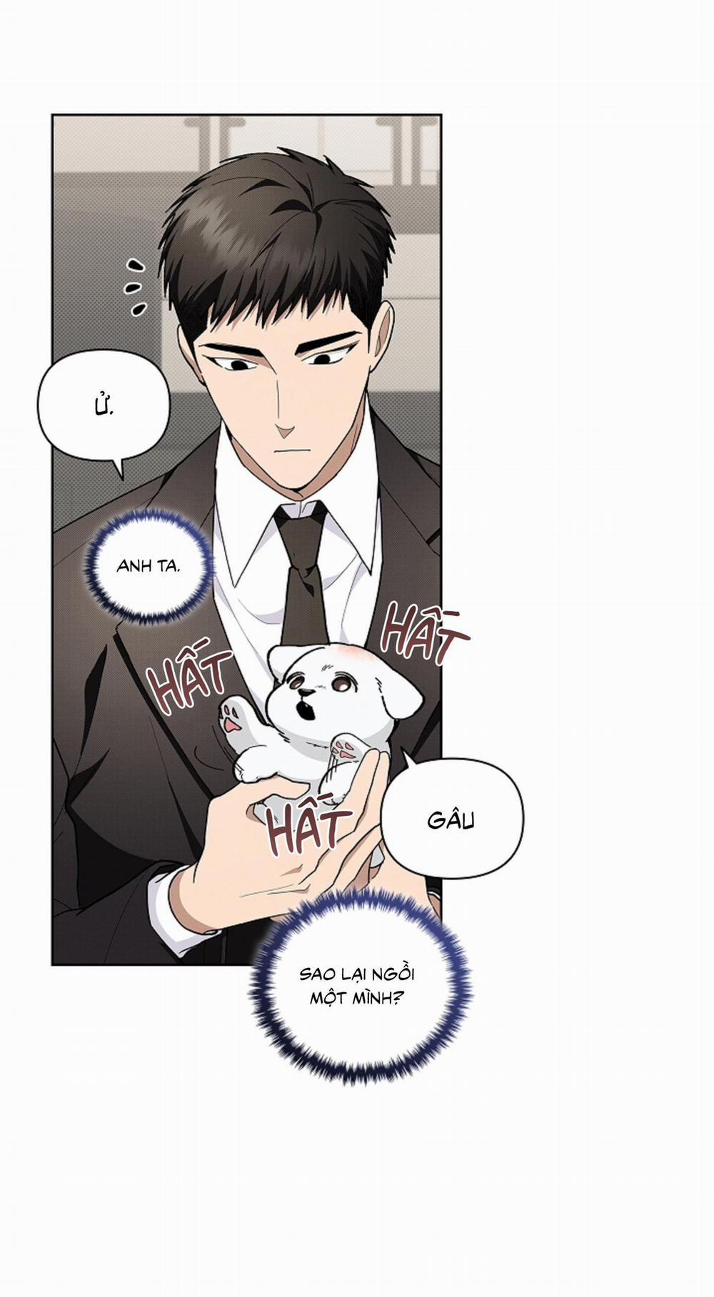 ĐỪNG ĐỘNG VÀO CÚN CON! 11 trang 5