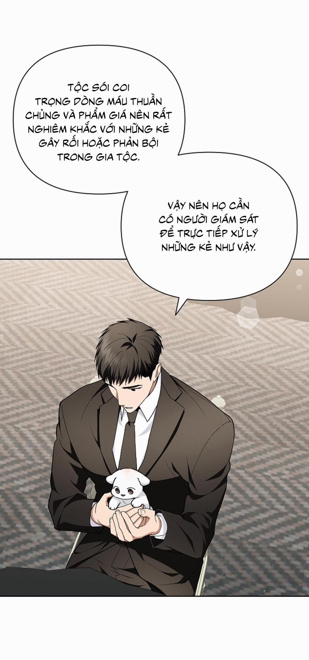 ĐỪNG ĐỘNG VÀO CÚN CON! 11 trang 8