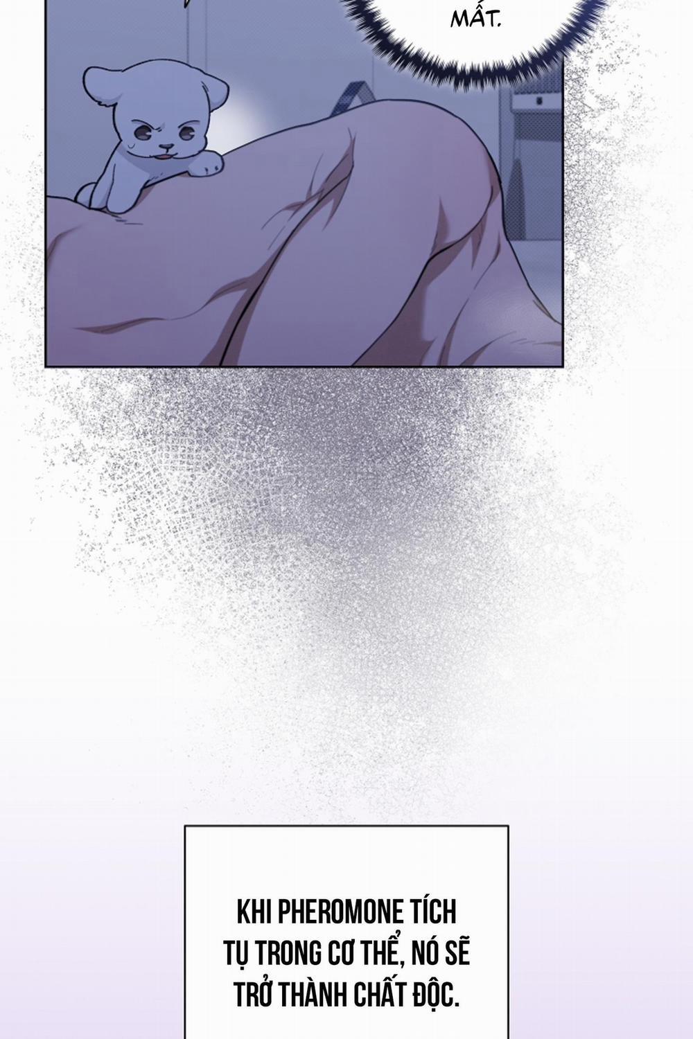 ĐỪNG ĐỘNG VÀO CÚN CON! 12 trang 85