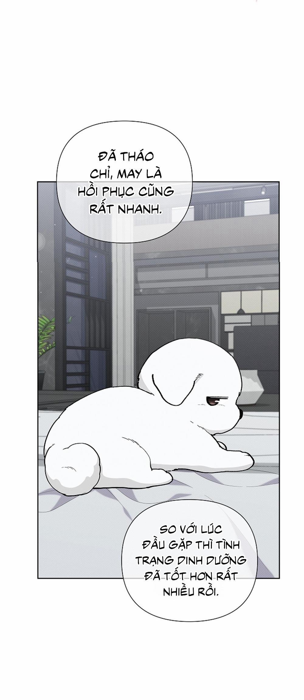 ĐỪNG ĐỘNG VÀO CÚN CON! 13 trang 49