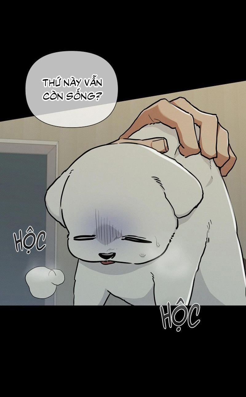 ĐỪNG ĐỘNG VÀO CÚN CON! 16 trang 10