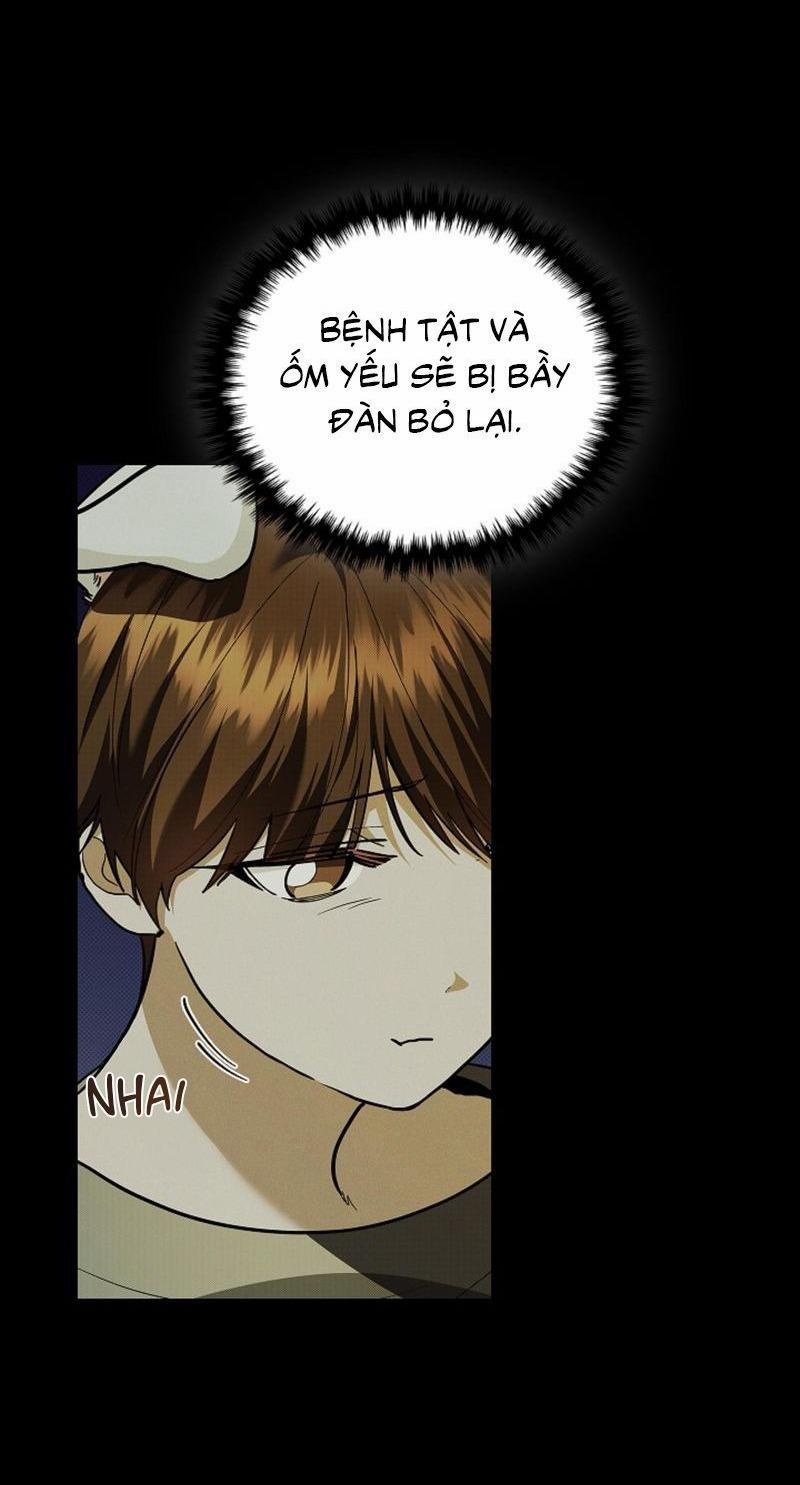 ĐỪNG ĐỘNG VÀO CÚN CON! 16 trang 17