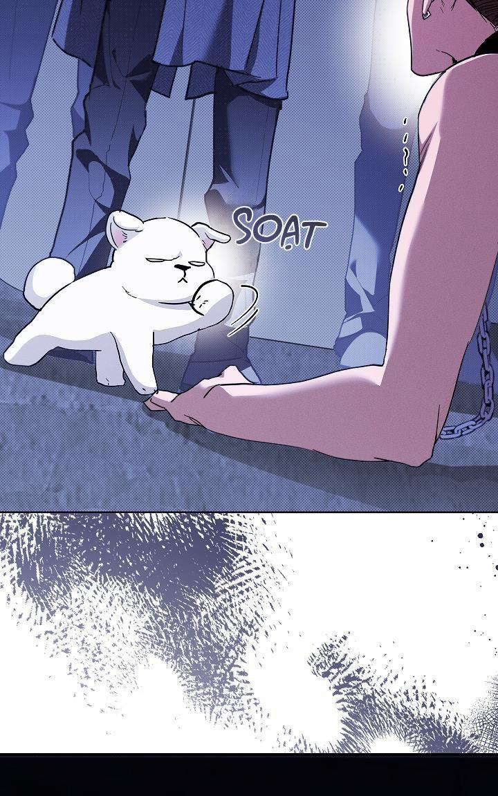 ĐỪNG ĐỘNG VÀO CÚN CON! 18 trang 1