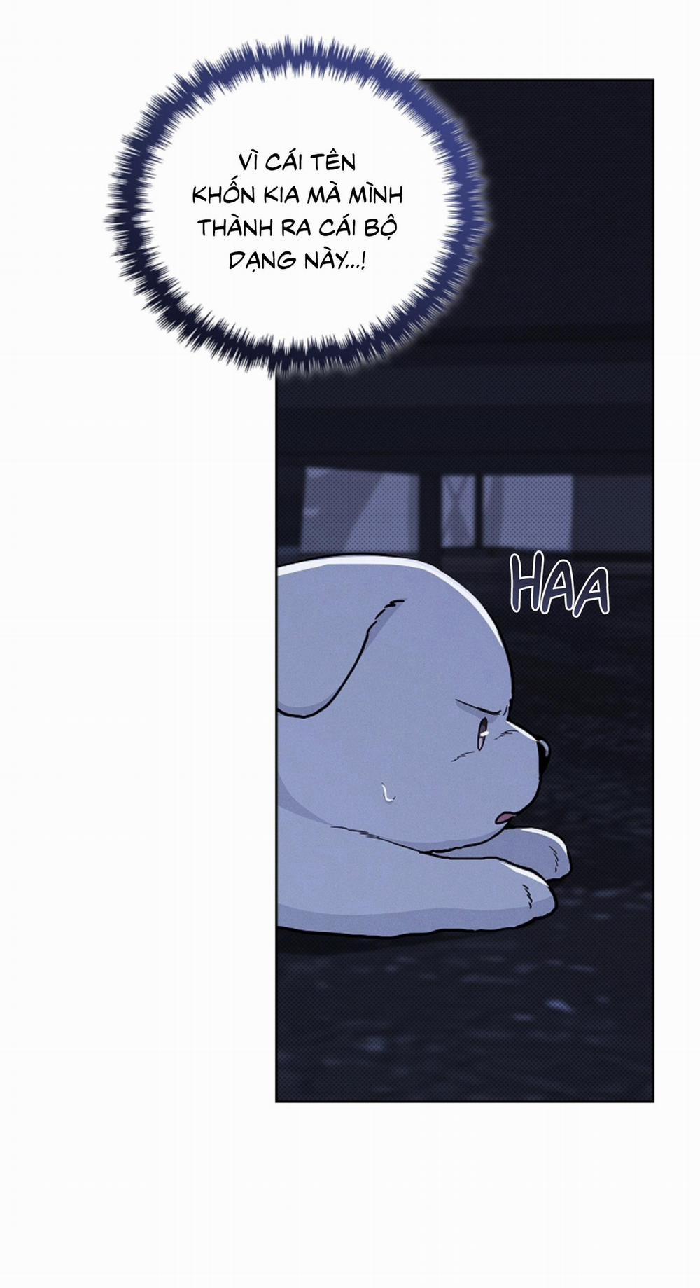 ĐỪNG ĐỘNG VÀO CÚN CON! 19 trang 31