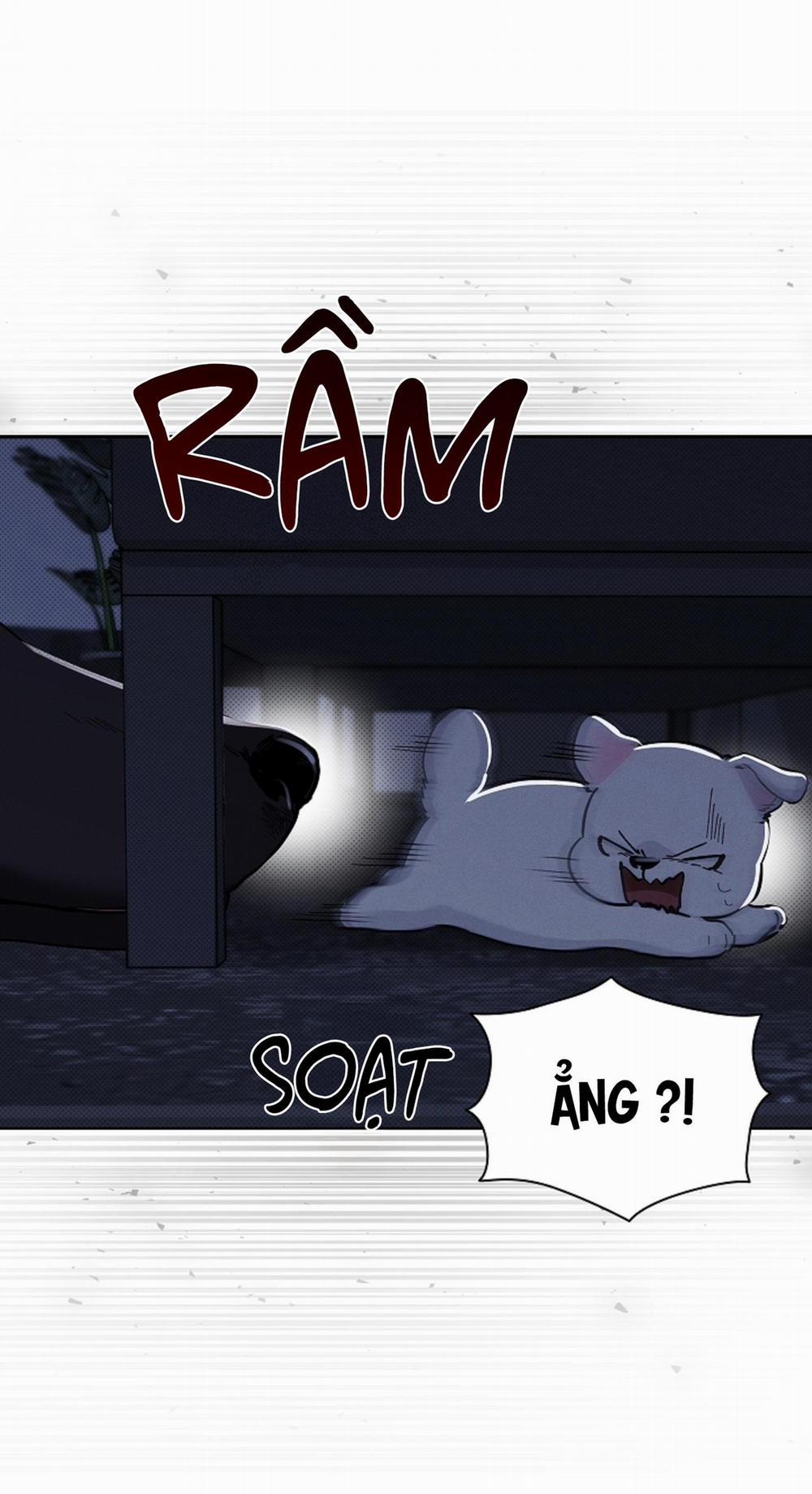 ĐỪNG ĐỘNG VÀO CÚN CON! 19 trang 32