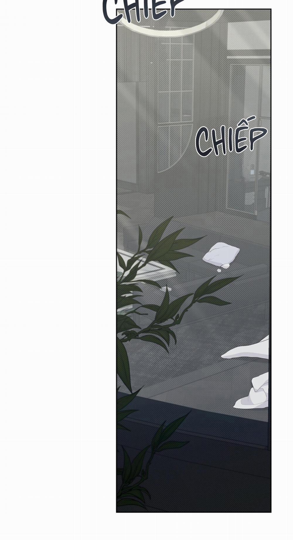 ĐỪNG ĐỘNG VÀO CÚN CON! 19 trang 40