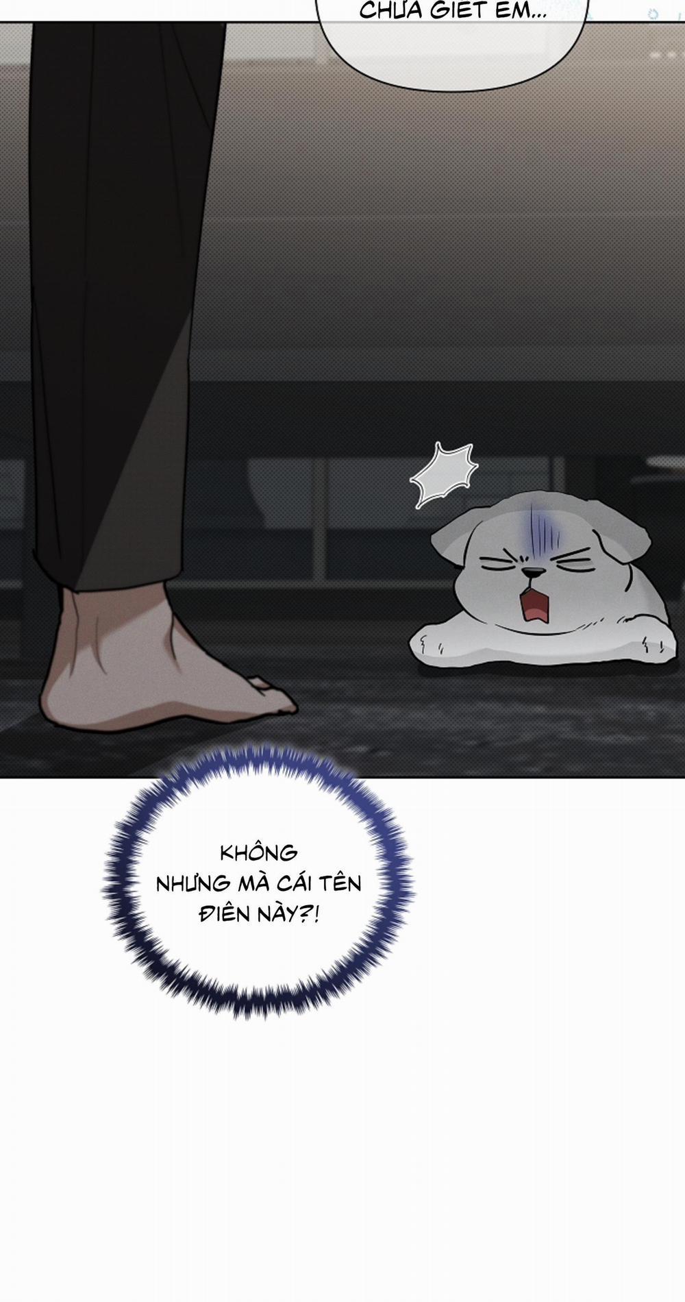 ĐỪNG ĐỘNG VÀO CÚN CON! 19 trang 54