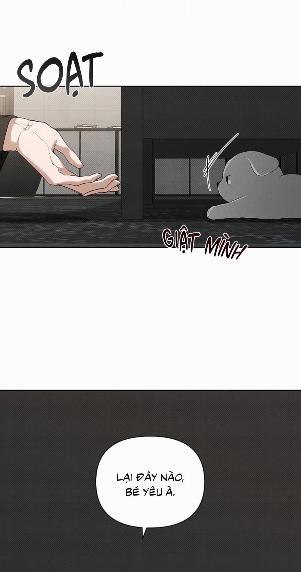 ĐỪNG ĐỘNG VÀO CÚN CON! 19 trang 55