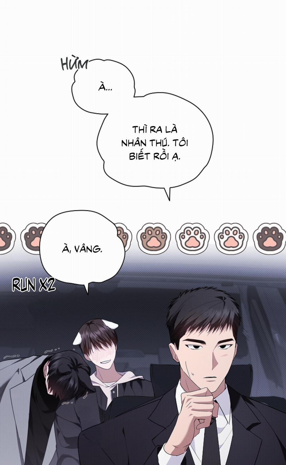 ĐỪNG ĐỘNG VÀO CÚN CON! 19 trang 91