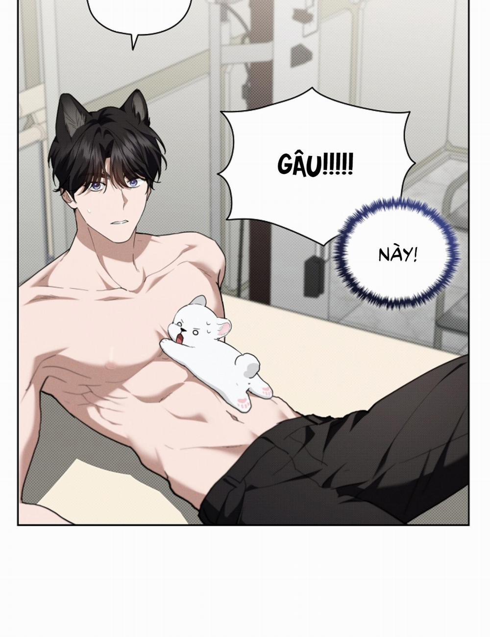 ĐỪNG ĐỘNG VÀO CÚN CON! 21 trang 67