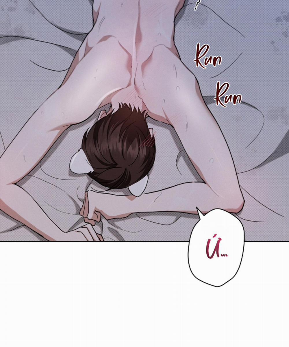 ĐỪNG ĐỘNG VÀO CÚN CON! 25 trang 50