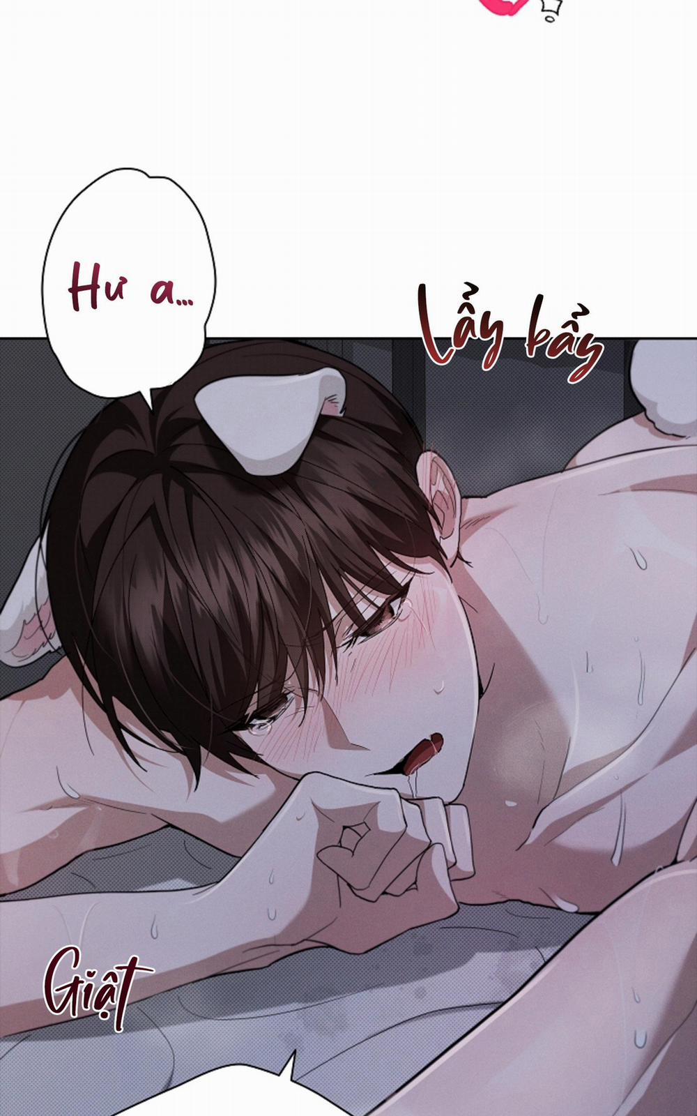 ĐỪNG ĐỘNG VÀO CÚN CON! 25 trang 52