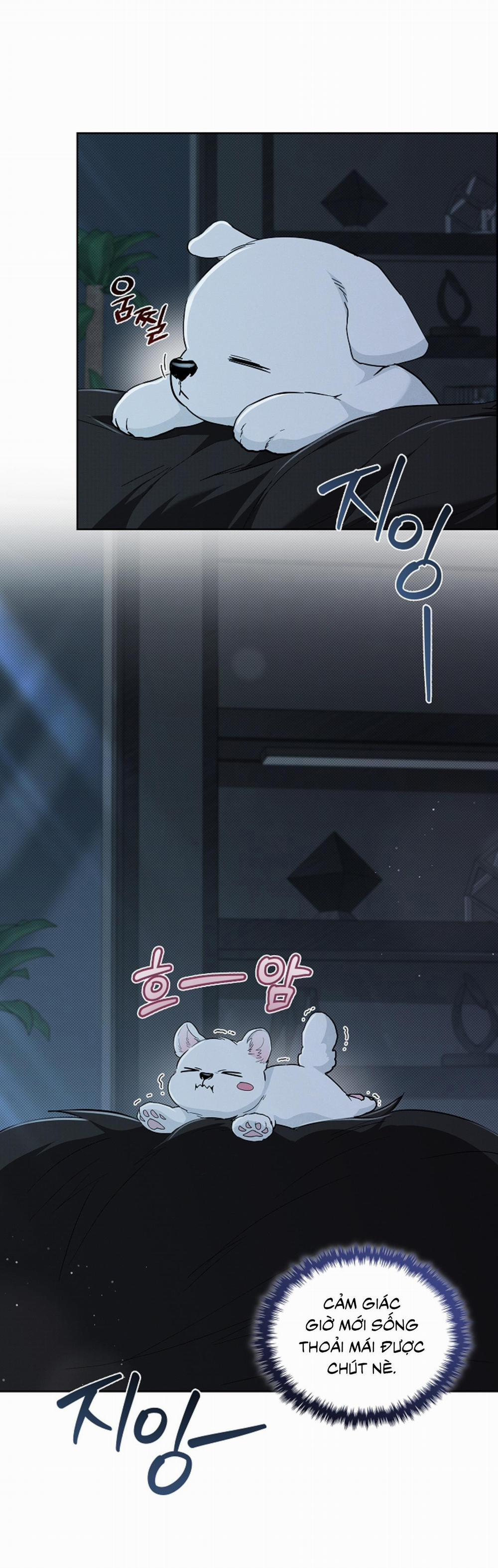 ĐỪNG ĐỘNG VÀO CÚN CON! 27 trang 23