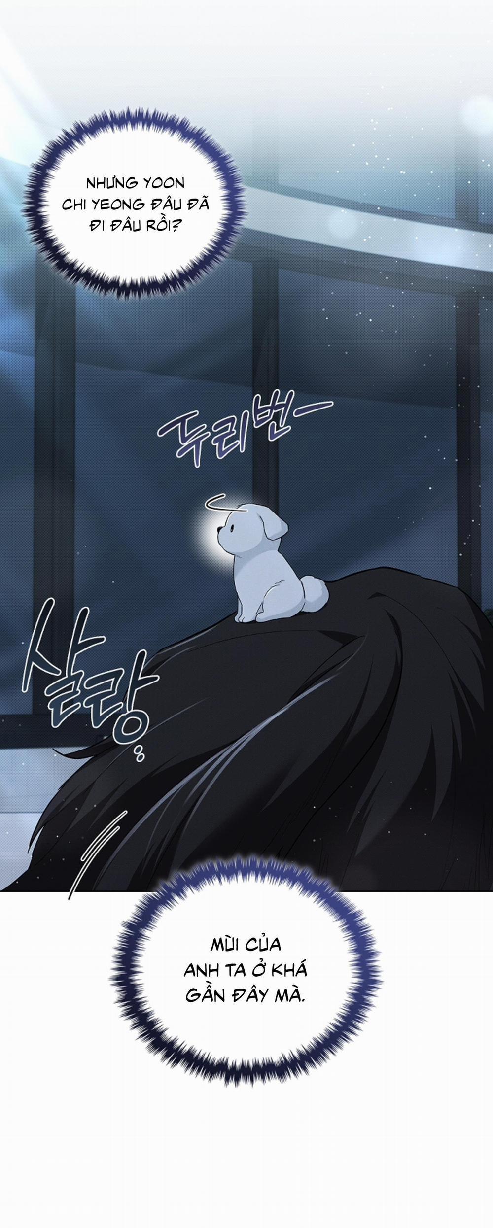 ĐỪNG ĐỘNG VÀO CÚN CON! 27 trang 25