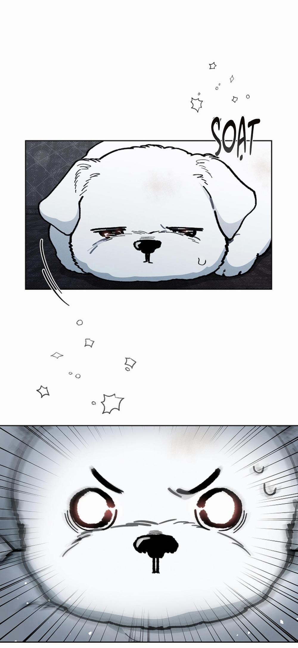 ĐỪNG ĐỘNG VÀO CÚN CON! 3 trang 50