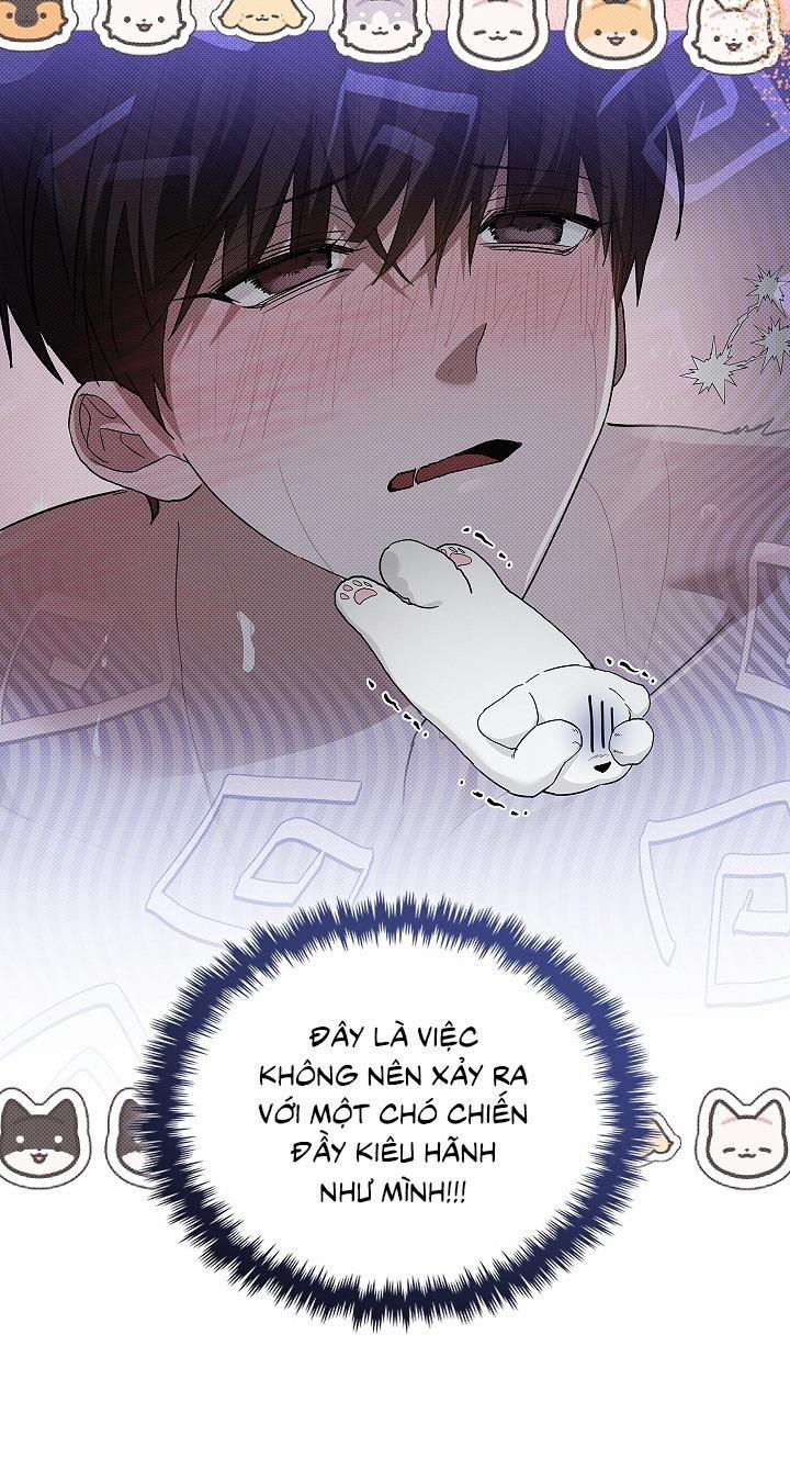 ĐỪNG ĐỘNG VÀO CÚN CON! 32 trang 10