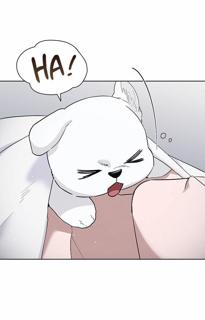 ĐỪNG ĐỘNG VÀO CÚN CON! 32 trang 5