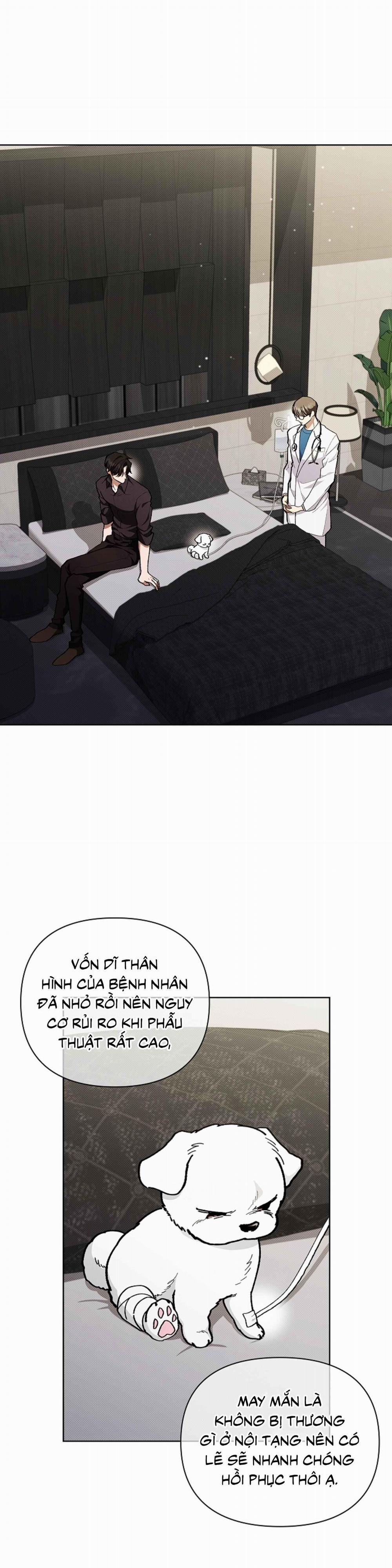 ĐỪNG ĐỘNG VÀO CÚN CON! 4 trang 0