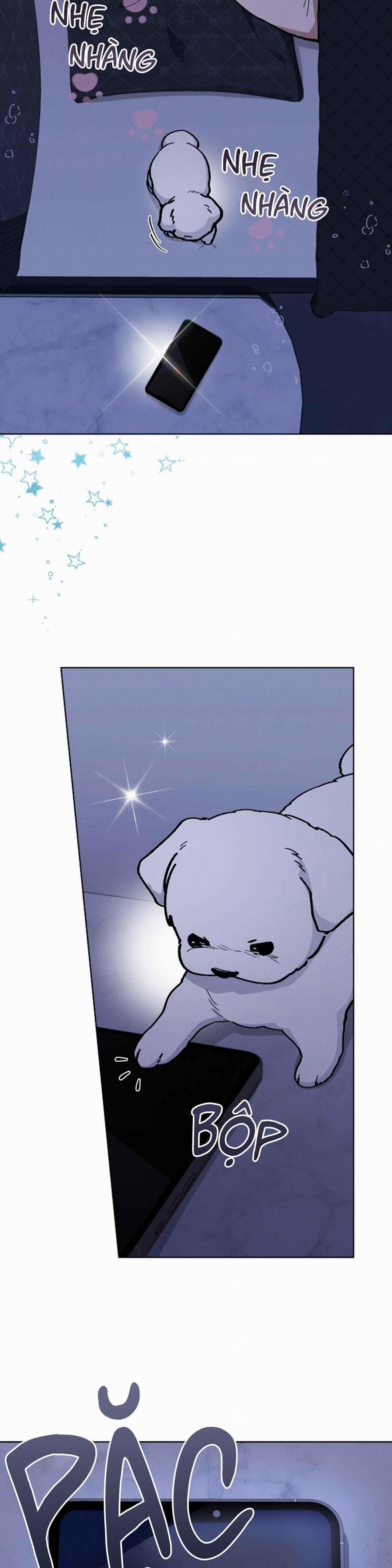 ĐỪNG ĐỘNG VÀO CÚN CON! 4 trang 12