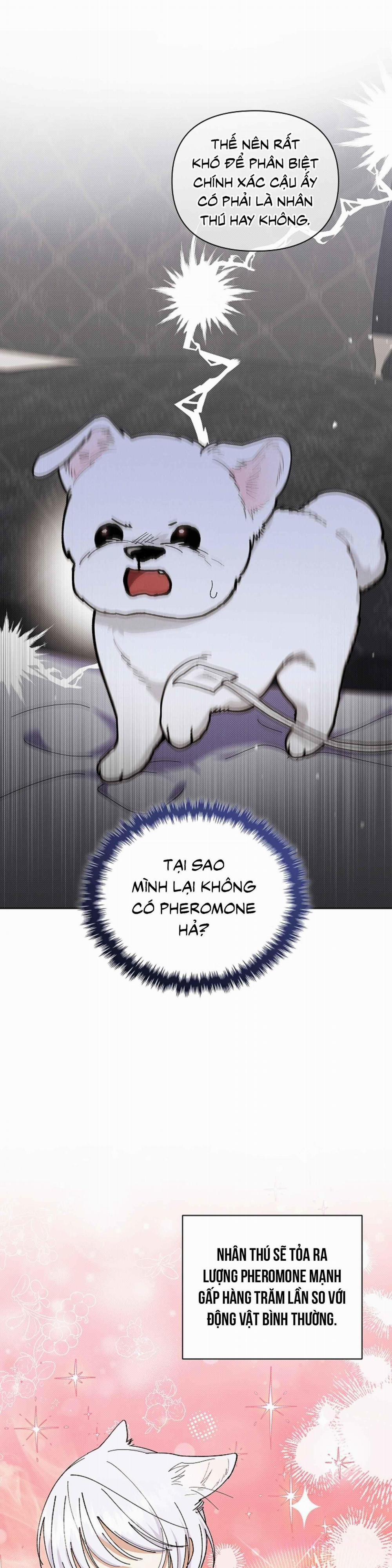 ĐỪNG ĐỘNG VÀO CÚN CON! 4 trang 2