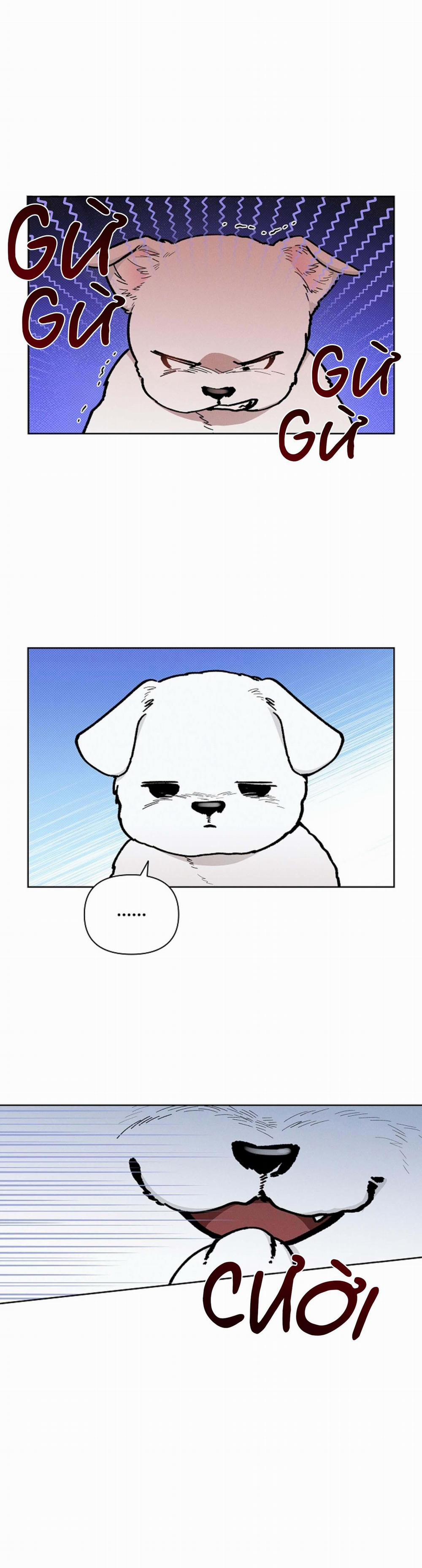 ĐỪNG ĐỘNG VÀO CÚN CON! 5 trang 16