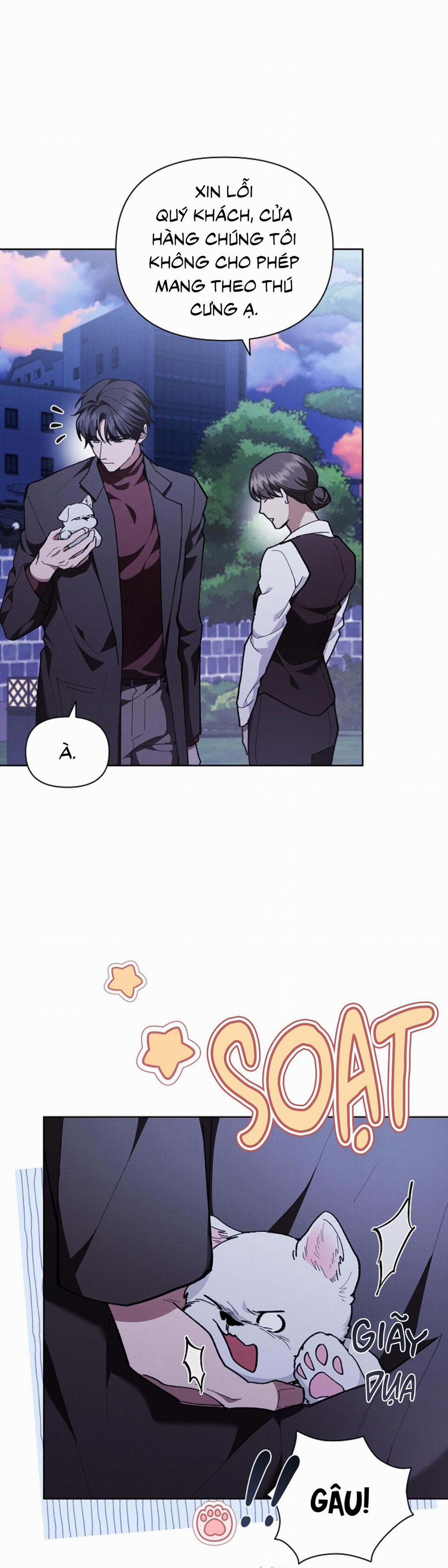 ĐỪNG ĐỘNG VÀO CÚN CON! 5 trang 22