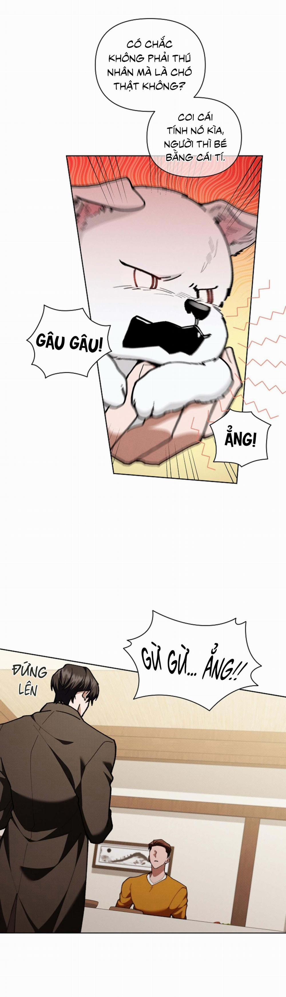 ĐỪNG ĐỘNG VÀO CÚN CON! 5 trang 34