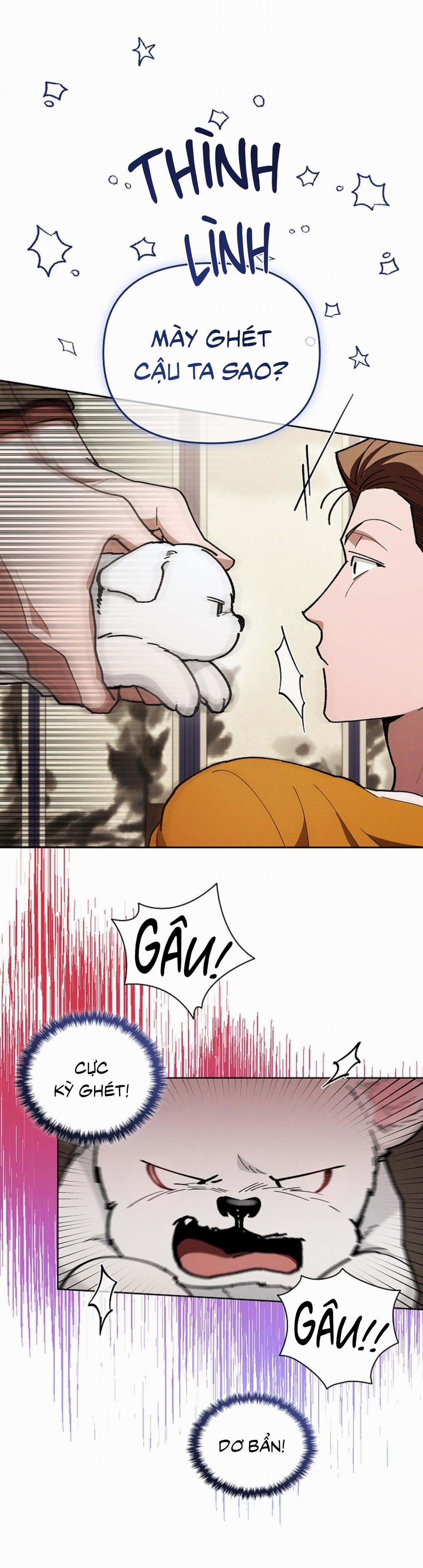 ĐỪNG ĐỘNG VÀO CÚN CON! 5 trang 37