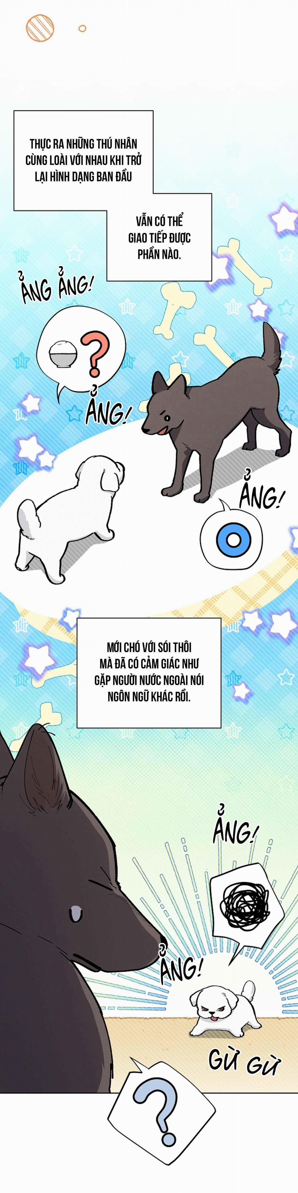 ĐỪNG ĐỘNG VÀO CÚN CON! 6 trang 22