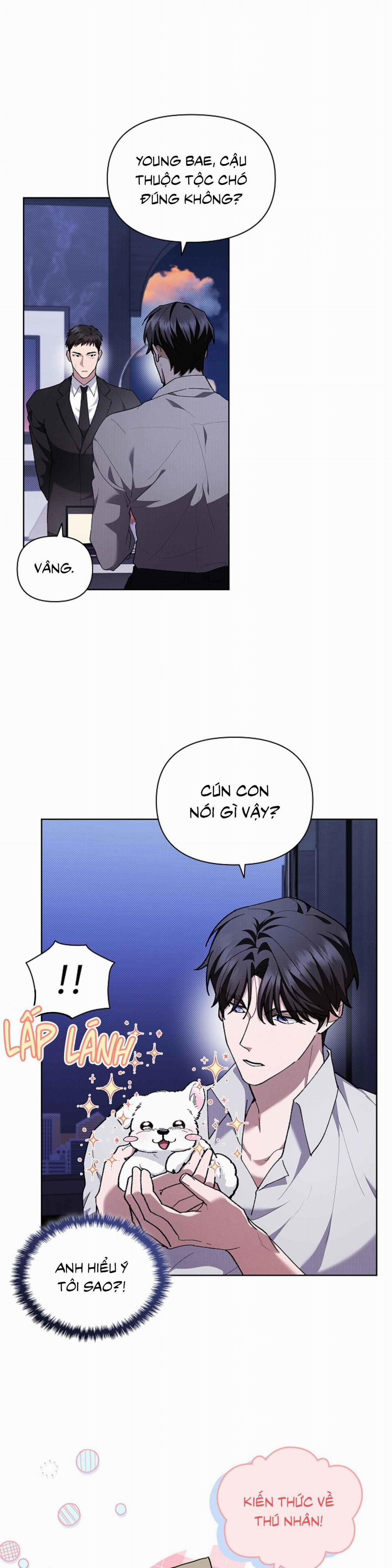 ĐỪNG ĐỘNG VÀO CÚN CON! 6 trang 23