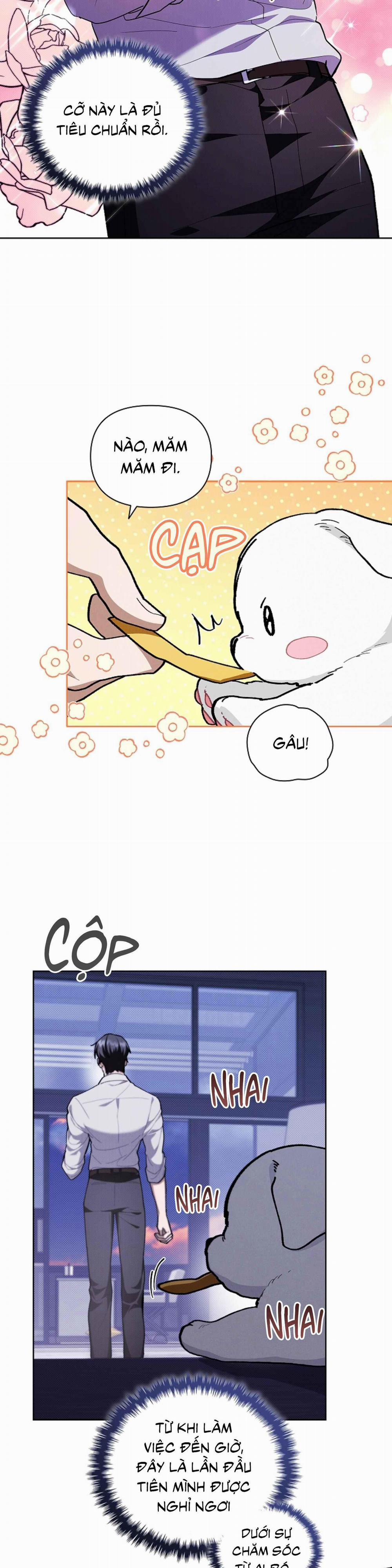 ĐỪNG ĐỘNG VÀO CÚN CON! 6 trang 31