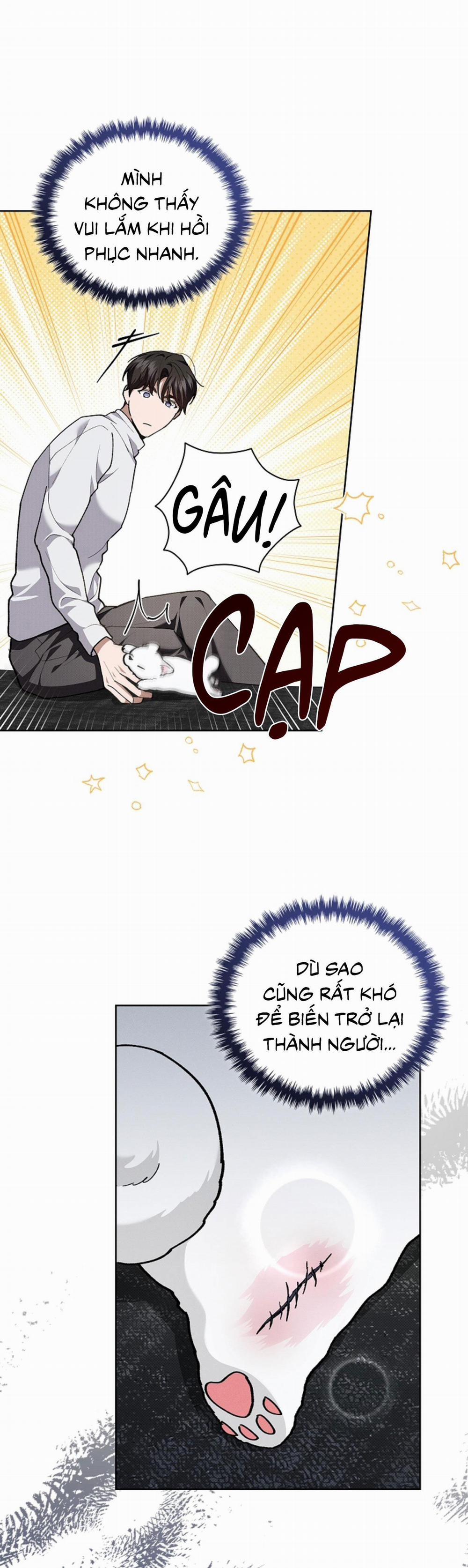 ĐỪNG ĐỘNG VÀO CÚN CON! 7 trang 11