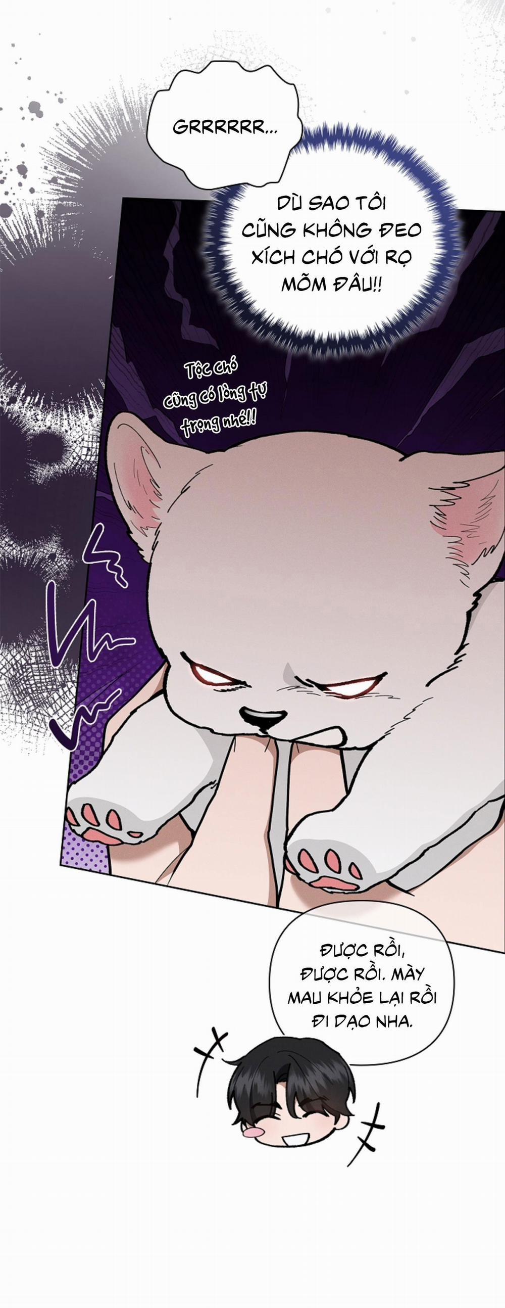 ĐỪNG ĐỘNG VÀO CÚN CON! 7 trang 13