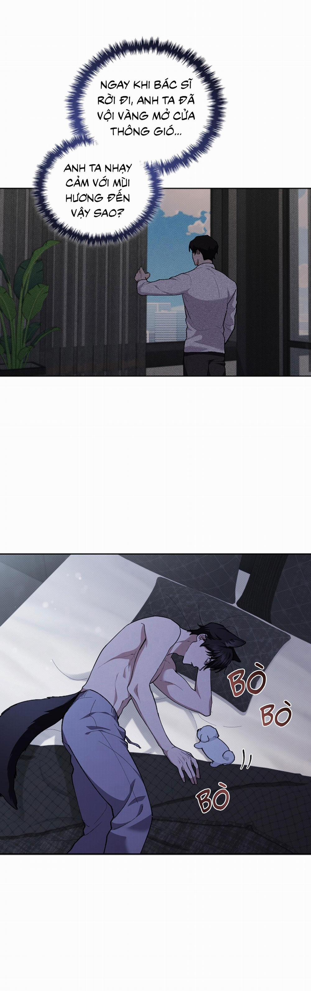 ĐỪNG ĐỘNG VÀO CÚN CON! 7 trang 29