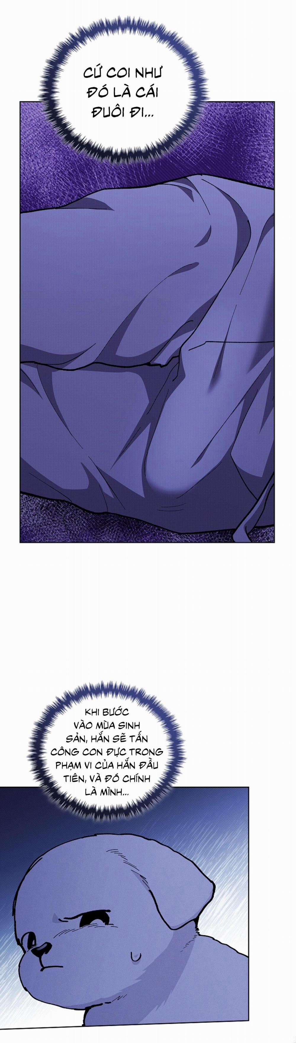 ĐỪNG ĐỘNG VÀO CÚN CON! 7 trang 33