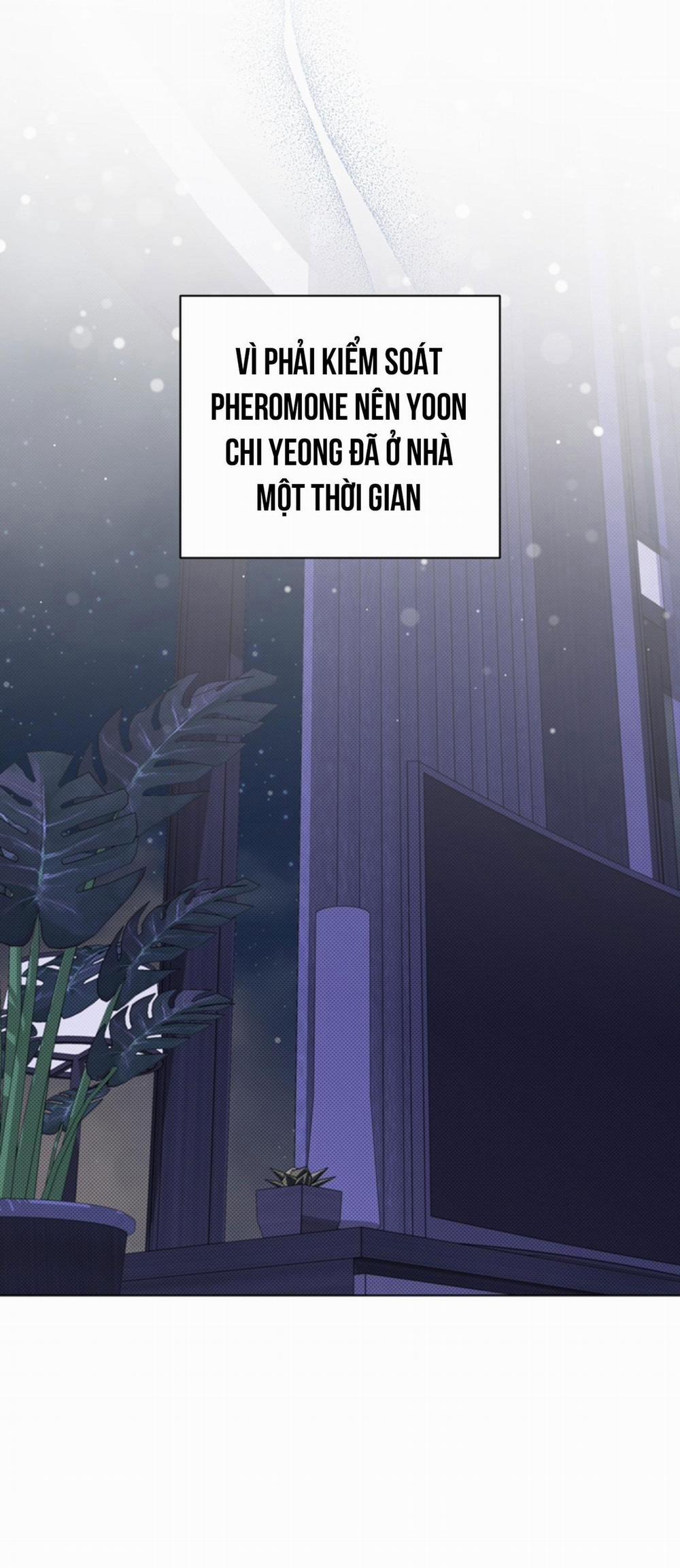 ĐỪNG ĐỘNG VÀO CÚN CON! 7 trang 43